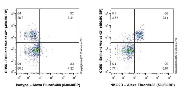 Flow Cytometry - Anti-NKG2D antibody [EPR22935-131] - BSA and Azide free (AB256531)
