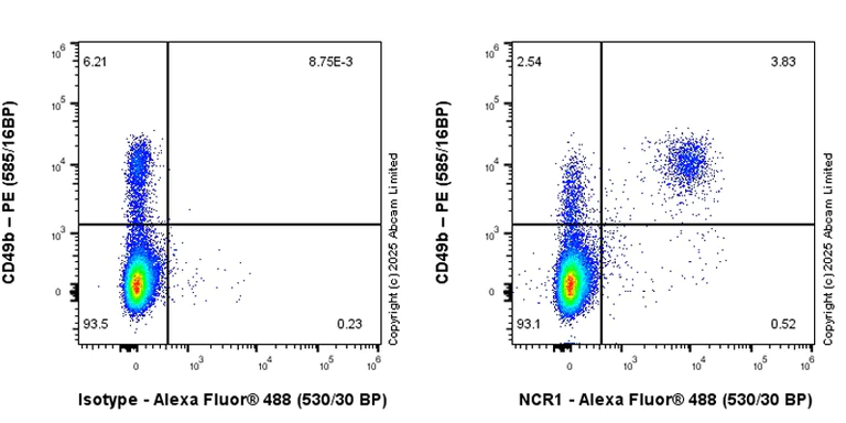 Flow Cytometry - Anti-NKp46/NCR1 antibody [RM1303] (AB324692)