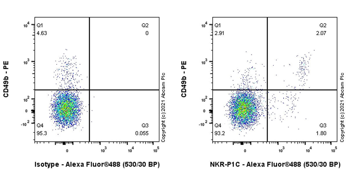 Flow Cytometry - Anti-NKR-P1C antibody [EPR22990-31] (AB289542), expandable thumbnail