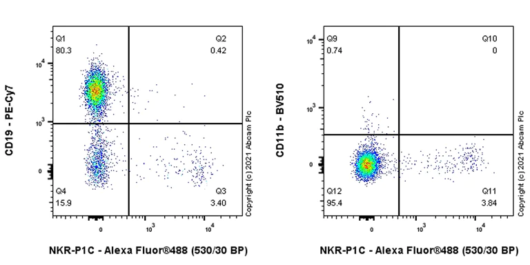 Flow Cytometry - Anti-NKR-P1C antibody [EPR22990-31] (AB289542)