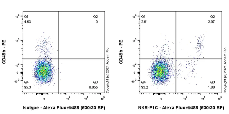 Flow Cytometry - Anti-NKR-P1C/NK1.1 antibody [EPR22990-31] (AB289542)