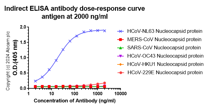 Indirect ELISA - Anti-NL63 Nucleoprotein antibody [abd259] - BSA and Azide free (AB316213), expandable thumbnail