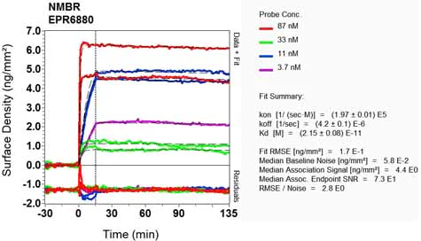 OI-RD Scanning - Anti-NMBR antibody [EPR6880] - BSA and Azide free (AB248699)