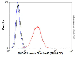 Flow Cytometry - Anti-NMDAR1 antibody [N308/48] - Neuronal Marker (AB134308)