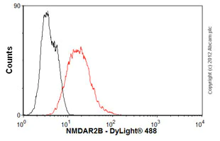Flow Cytometry - Anti-NMDAR2B antibody [NR2B] (AB28373)