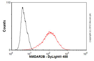Flow Cytometry - Anti-NMDAR2B antibody [S59] (AB93610), expandable thumbnail