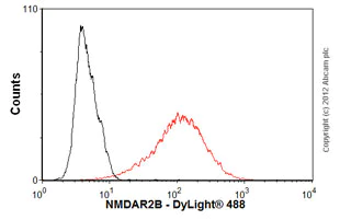 Flow Cytometry - Anti-NMDAR2B antibody [S59] (AB93610)