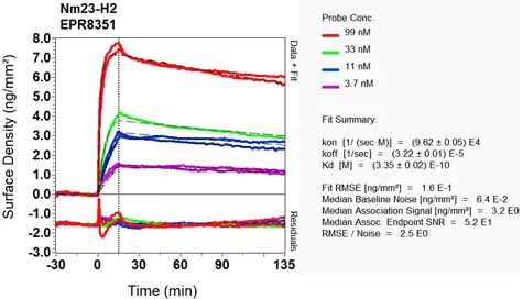OI-RD Scanning - Anti-NME2 antibody [EPR8351] (AB131329)