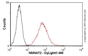 Flow Cytometry - Anti-NMNAT2 antibody [2E4] (AB56980)