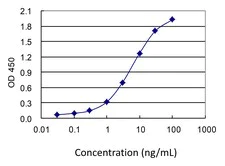 Sandwich ELISA - Anti-NMNAT2 antibody [2E4] (AB56980)