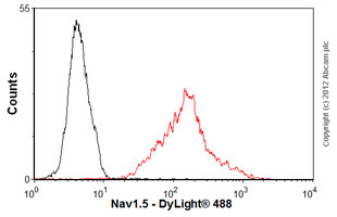 Flow Cytometry - Anti-nNav1.5 antibody [4G8:1G7] (AB62388), expandable thumbnail