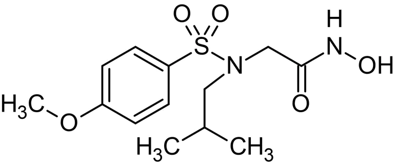 Chemical Structure - NNGH, Matrix metalloprotease (MMP) inhibitor (AB141259)
