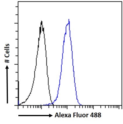 Flow Cytometry (Intracellular) - Anti-nNOS (neuronal) antibody (AB1376), expandable thumbnail