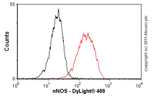 Flow Cytometry (Intracellular) - Anti-nNOS (neuronal) antibody [EP1855Y] (AB76067)
