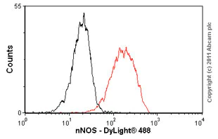 Flow Cytometry (Intracellular) - Anti-nNOS (neuronal) antibody [EP1855Y] - Low endotoxin, Azide free (AB219373)