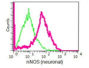 Flow Cytometry (Intracellular) - Anti-nNOS (neuronal) antibody [EP1855Y] - Low endotoxin, Azide free (AB219373)