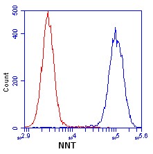Flow Cytometry - Anti-NNT antibody [8B4BB10] (AB110352), expandable thumbnail