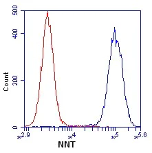 Flow Cytometry - Anti-NNT antibody [8B4BB10] (AB110352)