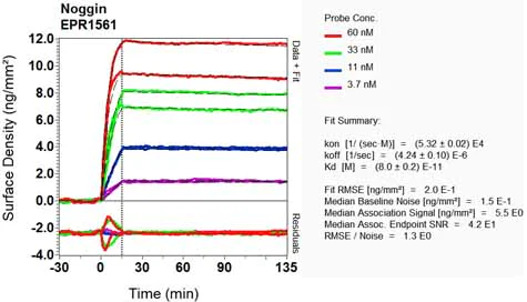 OI-RD Scanning - Anti-Noggin antibody [EPR1561] (AB124977)
