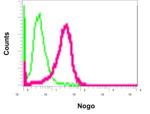 Flow Cytometry (Intracellular) - Anti-Nogo antibody [EPR12265] (AB180847)