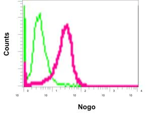 Flow Cytometry (Intracellular) - Anti-Nogo antibody [EPR12265] - BSA and Azide free (AB250250)