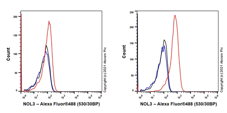 Flow Cytometry (Intracellular) - Anti-NOL3 antibody [EPR25182-11] - BSA and Azide free (AB288304)