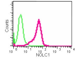 Flow Cytometry (Intracellular) - Anti-NOLC1 antibody [EPR14896] - BSA and Azide free (AB246325)