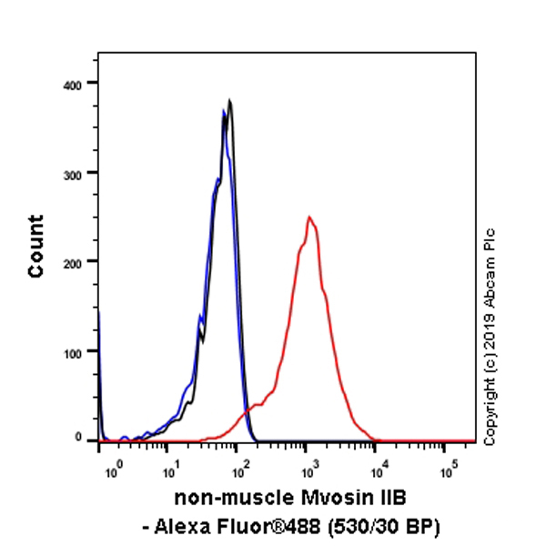 Flow Cytometry (Intracellular) - Anti-non-muscle Myosin IIB/MYH10 antibody [EPR22564-23] (ab230823), expandable thumbnail
