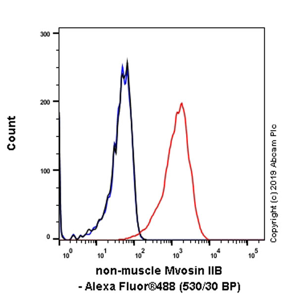 Flow Cytometry (Intracellular) - Anti-non-muscle Myosin IIB/MYH10 antibody [EPR22564-23] (AB230823), expandable thumbnail