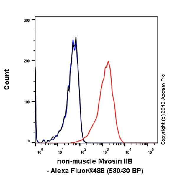 Flow Cytometry (Intracellular) - Anti-non-muscle Myosin IIB/MYH10 antibody [EPR22564-23] - BSA and Azide free (AB254472)