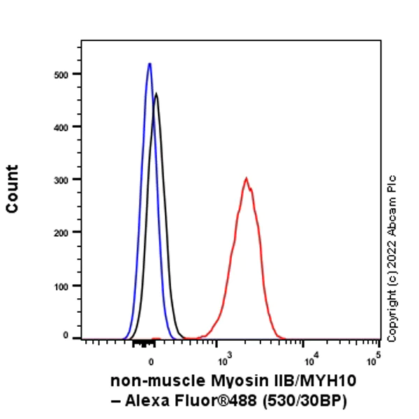 Flow Cytometry (Intracellular) - Anti-non-muscle Myosin IIB/MYH10 antibody [EPR22564-23] - Goat IgG (Chimeric) - BSA and Azide free (AB300649)