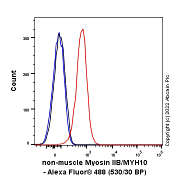Flow Cytometry (Intracellular) - Anti-non-muscle Myosin IIB/MYH10 antibody [EPR22564-23] - Rat IgG2a (Chimeric) - BSA and Azide free (AB300648)