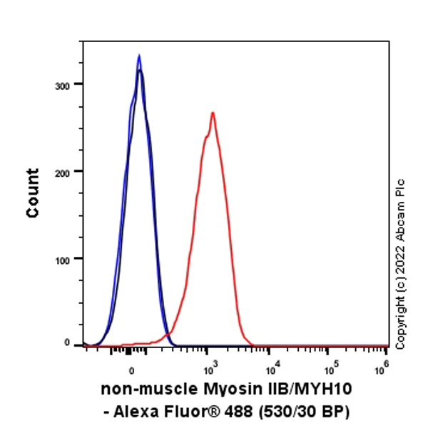 Flow Cytometry (Intracellular) - Anti-non-muscle Myosin IIB/MYH10 antibody [EPR22564-23] - Rat IgG2a (Chimeric) - BSA and Azide free (AB300648)