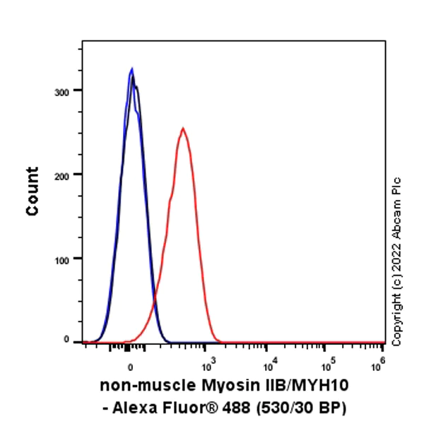 Flow Cytometry (Intracellular) - Anti-non-muscle Myosin IIB/MYH10 antibody [EPR22564-23] - Rat IgG2a (Chimeric) - BSA and Azide free (AB300648)