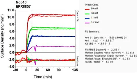 OI-RD Scanning - Anti-NOP10 antibody [EPR8857] - BSA and Azide free (AB248717)