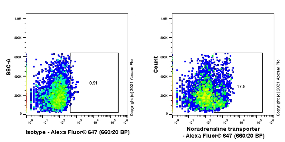 Flow Cytometry - Anti-Noradrenaline transporter antibody [EPR23527-534] (AB254361), expandable thumbnail