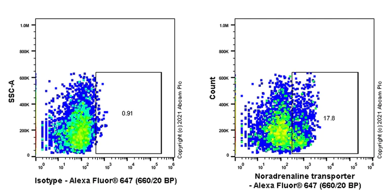 Flow Cytometry - Anti-Noradrenaline transporter antibody [EPR23527-534] (AB254361)