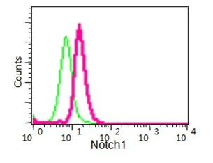 Flow Cytometry (Intracellular) - Anti-Notch1 antibody [EP1238Y] (AB52627)