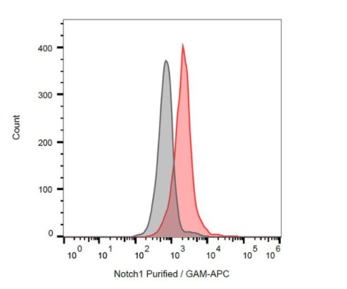 Flow Cytometry (Intracellular) - Anti-Notch1 antibody [mN1A] (AB128076)