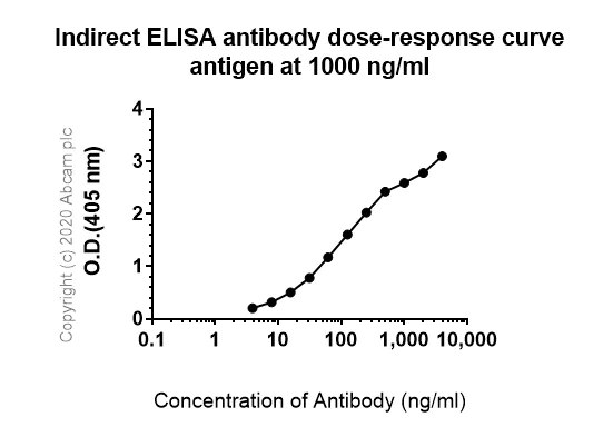ELISA - Anti-NOTCH3 antibody [8G5] - BSA and Azide free (AB255839)