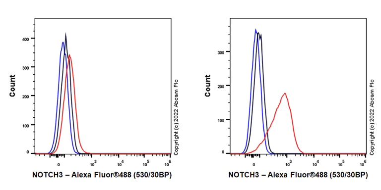 Flow Cytometry (Intracellular) - Anti-NOTCH3 antibody [EPR25183-101] (AB300527)