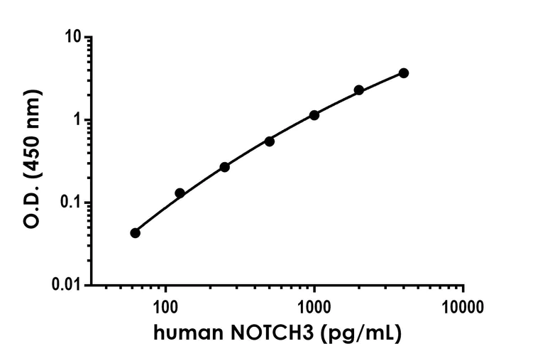 Sandwich ELISA - Anti-NOTCH3 antibody [EPR25183-326] - BSA and Azide free (Detector) (AB300706)