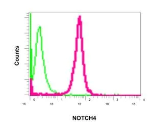 Flow Cytometry (Intracellular) - Anti-NOTCH4 antibody [EPNCIR101B] - BSA and Azide free (AB249346)