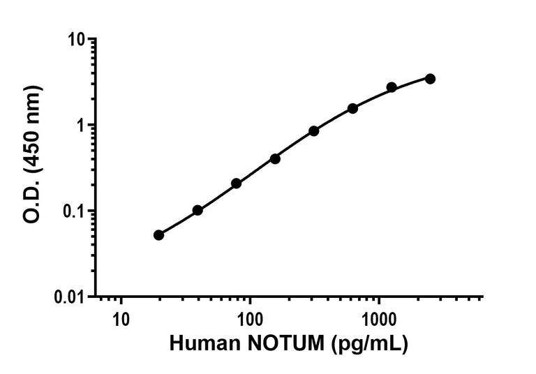 Sandwich ELISA - Anti-NOTUM antibody [EPR27981-80] - BSA and Azide free (Capture) (AB316030)