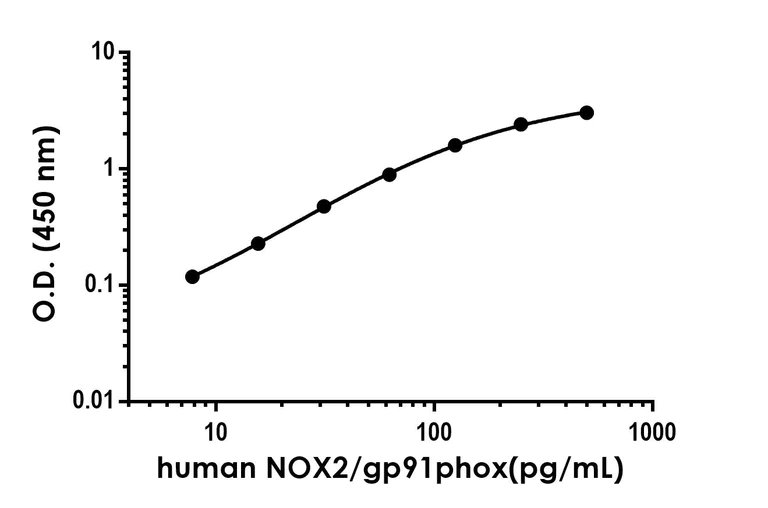 Sandwich ELISA - Anti-NOX2/gp91phox antibody [EPR24537-56] - BSA and Azide free (Capture) (AB300696)