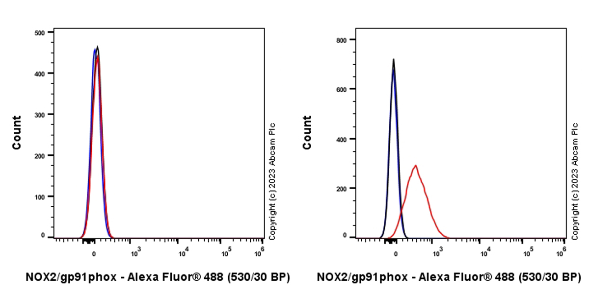 Flow Cytometry (Intracellular) - Anti-NOX2/gp91phox antibody [EPR28415-13] (ab310337), expandable thumbnail