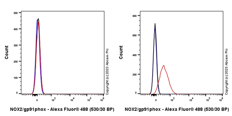 Flow Cytometry (Intracellular) - Anti-NOX2/gp91phox antibody [EPR28415-13] - BSA and Azide free (AB310338)