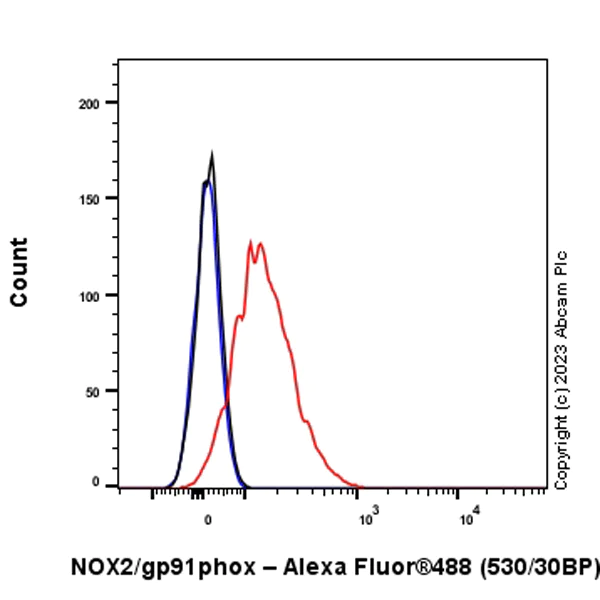 Flow Cytometry (Intracellular) - Anti-NOX2/gp91phox antibody [EPR28415-13] - BSA and Azide free (AB310338)