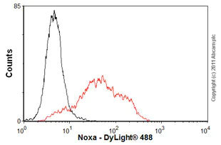 Flow Cytometry (Intracellular) - Anti-Noxa antibody [114C307] (AB13654)