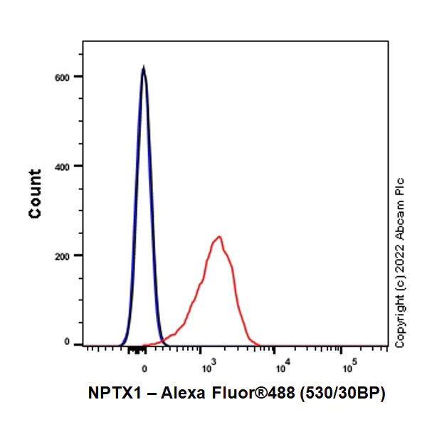 Flow Cytometry (Intracellular) - Anti-NP-I antibody [EPR25683-64] - BSA and Azide free (AB289990)